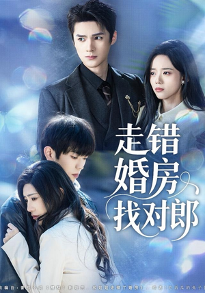 走错婚房找对郎（50集） 火爆短剧精彩片段