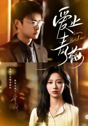 爱止青梅（60集） 好看的短剧追到爽