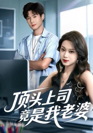 顶头上司竟是我老婆（51集）每日热门短剧推荐