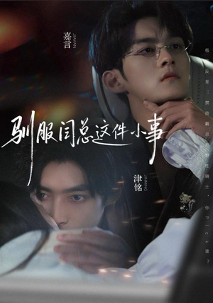 驯服闫总这件小事（58集）短剧全集幕后花絮版