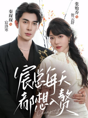 宸总每天都想入赘（65集）短剧终极大放送合集