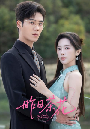 昨日茶花（56集）短剧全集连看不停歇