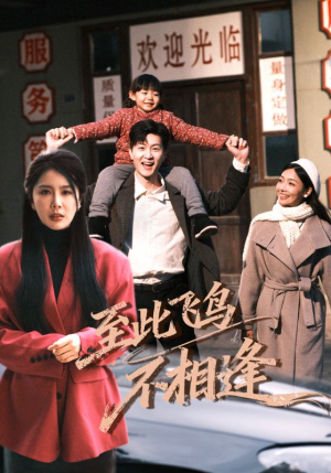 至此飞鸟不相逢（70集）深夜必看热门短剧推荐