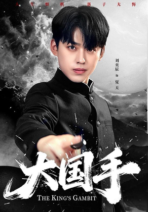 大国手（76集）短剧终极大结局合集