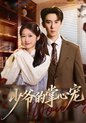 少爷的掌心宠（80集）看完还想看的精彩短剧