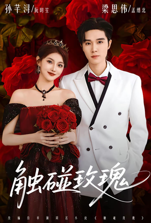 触碰玫瑰（80集）古装热门短剧推荐