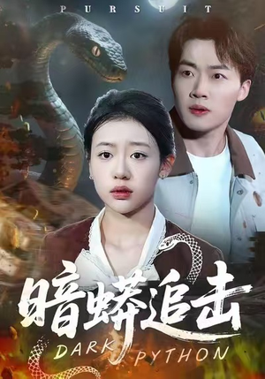 暗蟒追击（35集）短剧完整版全集放送