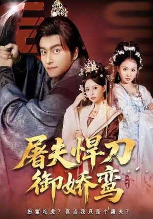 屠夫悍刀御娇鸾（81集）热门免费短剧推荐