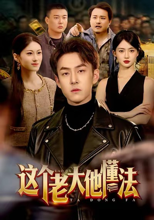 这个老大他懂法（100集）一部短剧追的停不下来