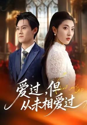 爱过，但从未相爱过（30集）重生之追夫火葬场短剧