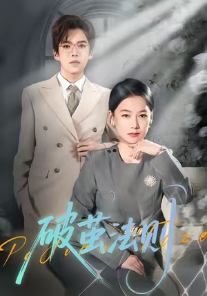 破茧法则（66集）精彩短剧等你来看