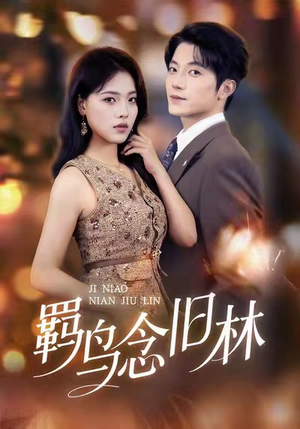 羁鸟念旧林（60集）男女都爱看的短剧