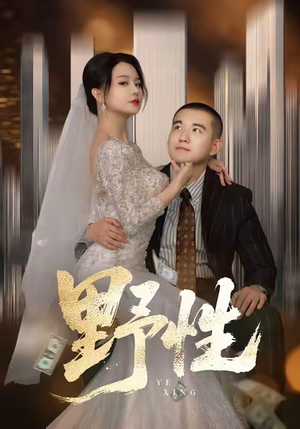 野性（70集）每天分享好看精彩片段