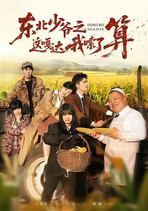 东北少爷之这嘎达我嗦了算（46集）最新短剧热门推荐