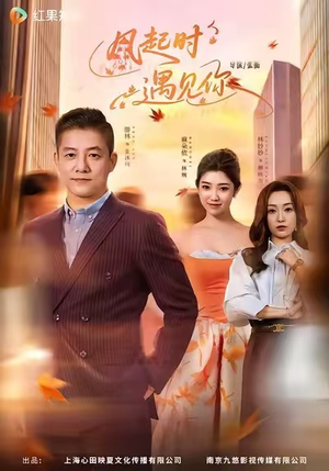 风起时遇见你（59集）红果短剧免费看剧