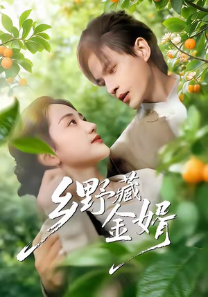 乡野藏金婿（50集）精彩又上头的短剧来了