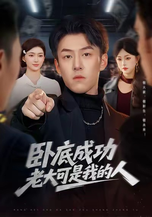 卧底成功老大可是我的人（99集）短剧全集解锁零收费