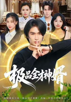 极品全才神婿（67集）短剧全剧终合集放送