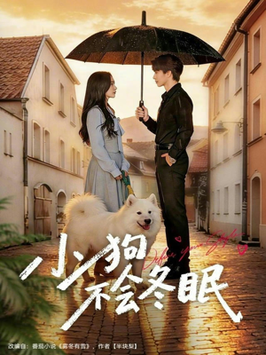 小狗不会冬眠（70集）左下角看全集精彩短剧