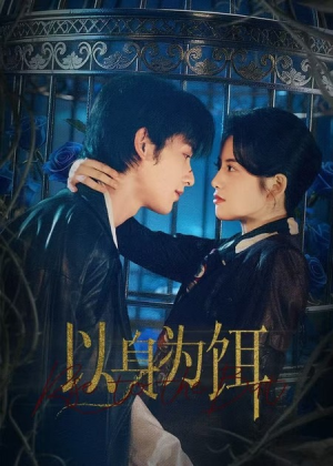 以身为饵（61集）短剧超清全集在线看