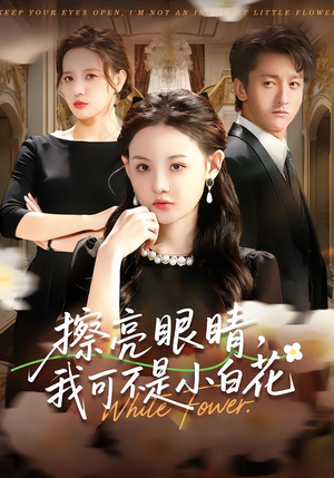 擦亮眼睛，我可不是小白花（60集）每晚准时更新分享