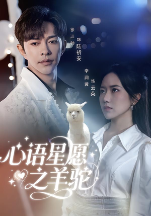 心语星愿之羊驼(60集) 心语星愿之羊驼(60集)精彩短剧不容错过