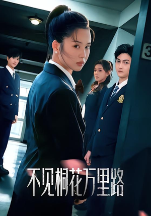 不见桐花万里路（71集）短剧合集通宵追更版