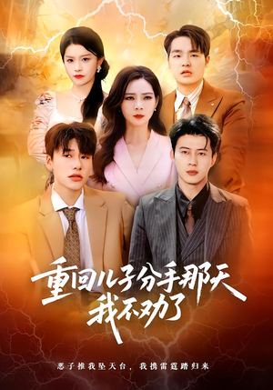 重回儿子分手那天，我不劝了（28集）免费看短剧大结局