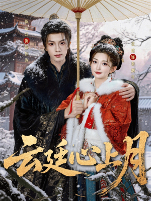 云廷心上月（80集）好看的短剧同大家分享