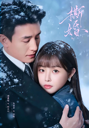 撕婚（23集）短剧全集无删完整版