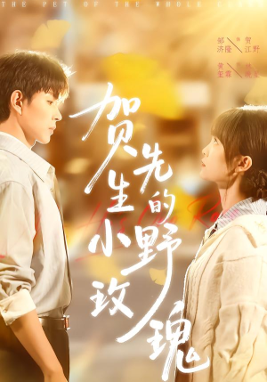 贺先生的小野玫瑰（99集）每天热门短剧推荐