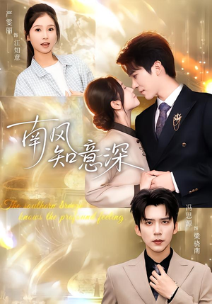 南风知意深（40集）最火爆的热门短剧
