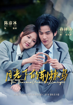 月光下的荆棘鸟（80集）热门短剧每天更新