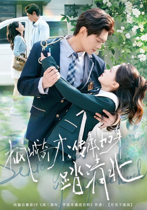 枫城奇才：传承加身踏清北（80集） 短剧热映全集免费刷