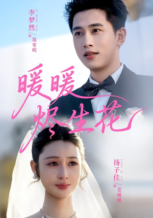 暖暖烬生花（65集）深夜短剧精彩分享