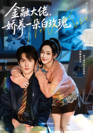 金融大佬，娇养一朵白玫瑰（70集）热播短剧推荐分享