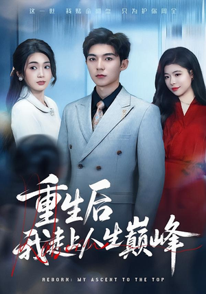 重生后我走上人生巅峰（80集）超好看短剧抢先看