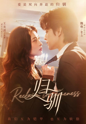 归驯（82集）短剧精彩不容错过