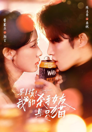 别摸！我的杀手女友是只猫（60集）全网最火催泪短剧