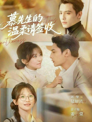 慕先生的温柔请签收（90集）越看越精彩的短剧