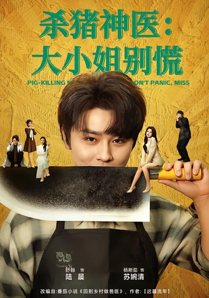 杀猪神医，大小姐别慌（80集）热门短剧推荐精彩片段