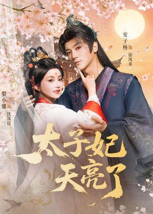 太子妃天亮了（80集）短剧超清全集在线看