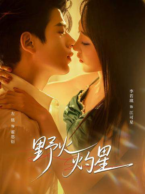 野火灼星（56集）红果免费短视频剧