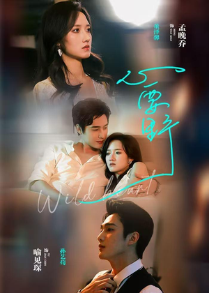 心要野（62集）短剧大结局全集解锁