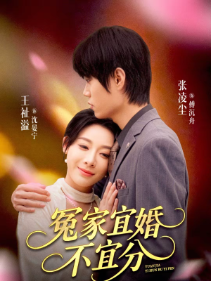 冤家宜婚不宜分（80集）超好看的短剧一起追剧