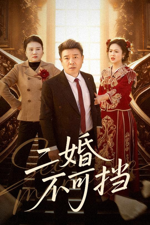 二婚不可挡（36集）热门短剧每天更新