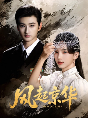 风起京华（60集）红果短剧免费看剧