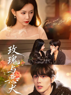 玫瑰与恶犬（80集）超好看的短剧强烈推荐