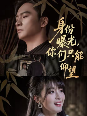 身份曝光，你们只能仰望（78集）在红果短剧免费看全集