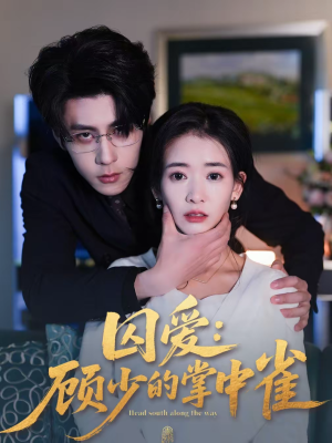 囚爱：顾少的掌中雀（70集）短剧大结局连更全集